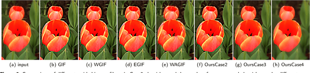 Figure 4 for Adaptive Weighted Guided Image Filtering for Depth Enhancement in Shape-From-Focus