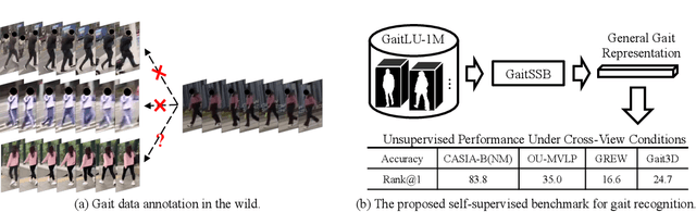 Figure 1 for Learning Gait Representation from Massive Unlabelled Walking Videos: A Benchmark