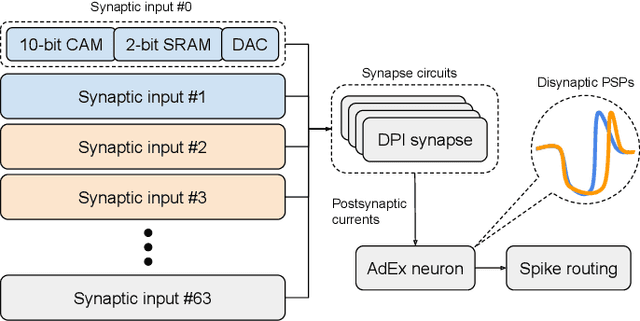 Figure 1 for Spatiotemporal Spike-Pattern Selectivity in Single Mixed-Signal Neurons with Balanced Synapses