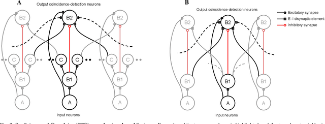 Figure 2 for Spatiotemporal Spike-Pattern Selectivity in Single Mixed-Signal Neurons with Balanced Synapses