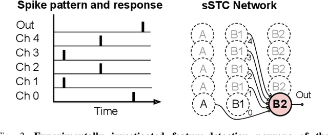 Figure 3 for Spatiotemporal Spike-Pattern Selectivity in Single Mixed-Signal Neurons with Balanced Synapses