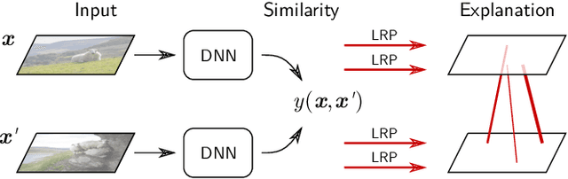 Figure 1 for Building and Interpreting Deep Similarity Models