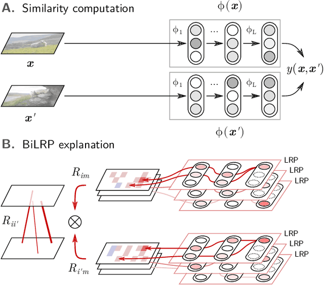 Figure 3 for Building and Interpreting Deep Similarity Models