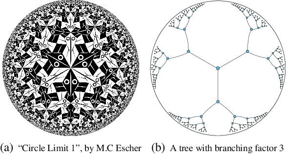 Figure 1 for Hyperbolic Graph Attention Network