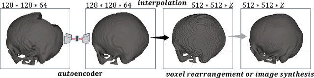 Figure 1 for Learning to Rearrange Voxels in Binary Segmentation Masks for Smooth Manifold Triangulation