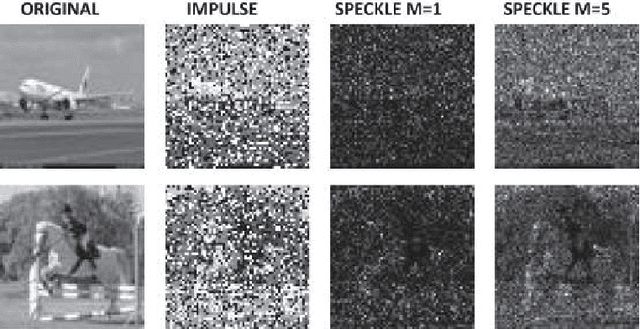Figure 3 for Operational vs Convolutional Neural Networks for Image Denoising