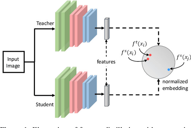 Figure 1 for Feature Distillation With Guided Adversarial Contrastive Learning