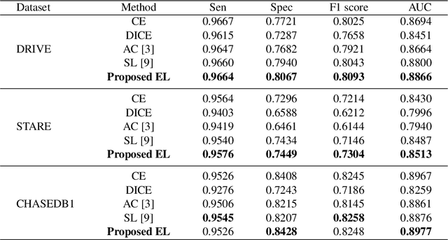 Figure 2 for An Elastic Interaction-Based Loss Function for Medical Image Segmentation