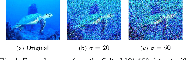 Figure 4 for An empirical study on the effects of different types of noise in image classification tasks