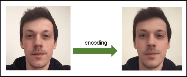 Figure 3 for Bayesian optimization for automatic design of face stimuli