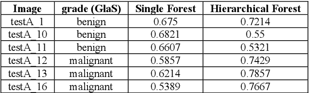 Figure 3 for Machine learning approach for segmenting glands in colon histology images using local intensity and texture features