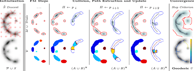 Figure 3 for VTrails: Inferring Vessels with Geodesic Connectivity Trees