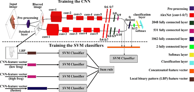 Figure 3 for 11K Hands: Gender recognition and biometric identification using a large dataset of hand images