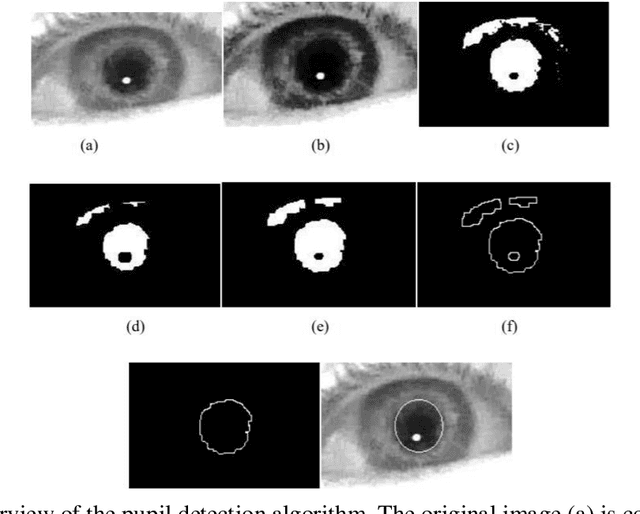 Figure 2 for A review of the low-cost eye-tracking systems for 2010-2020