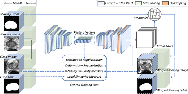 Figure 1 for Longitudinal Image Registration with Temporal-order and Subject-specificity Discrimination