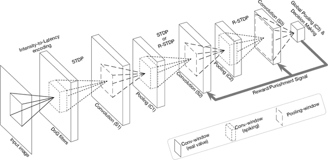Figure 1 for Combining STDP and Reward-Modulated STDP in Deep Convolutional Spiking Neural Networks for Digit Recognition