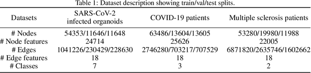 Figure 2 for Self-supervised edge features for improved Graph Neural Network training