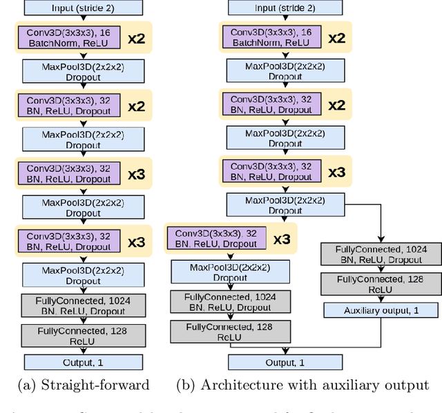 Figure 1 for Ensemble of 3D CNN regressors with data fusion for fluid intelligence prediction