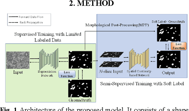 Figure 1 for Semi-Supervised Segmentation of Mitochondria from Electron Microscopy Images Using Spatial Continuity