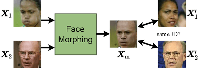 Figure 1 for Face Morphing: Fooling a Face Recognition System Is Simple!