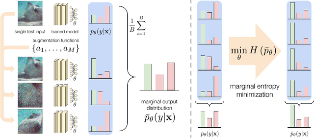 Figure 1 for MEMO: Test Time Robustness via Adaptation and Augmentation