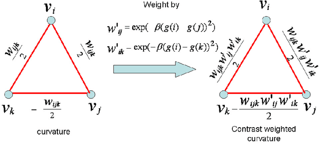 Figure 1 for Optimization of Weighted Curvature for Image Segmentation