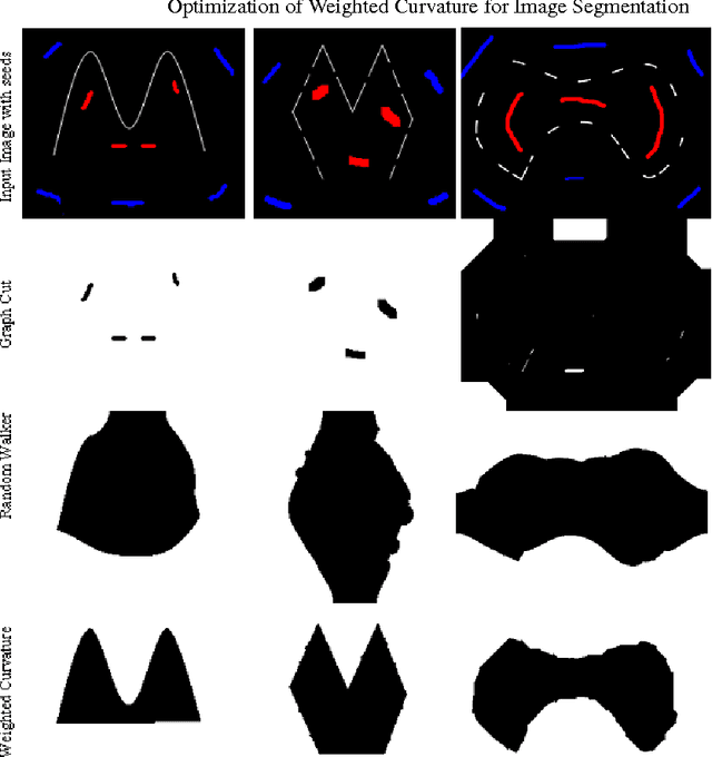 Figure 3 for Optimization of Weighted Curvature for Image Segmentation