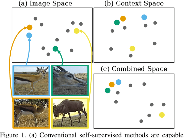 Figure 1 for Focus on the Positives: Self-Supervised Learning for Biodiversity Monitoring