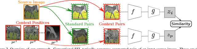 Figure 3 for Focus on the Positives: Self-Supervised Learning for Biodiversity Monitoring