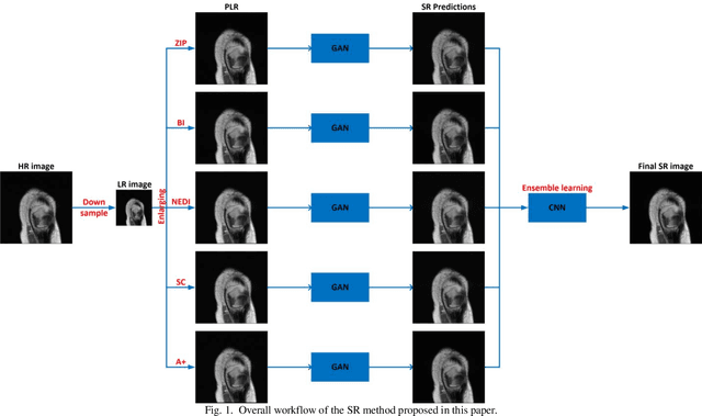 Figure 1 for MRI Super-Resolution with Ensemble Learning and Complementary Priors