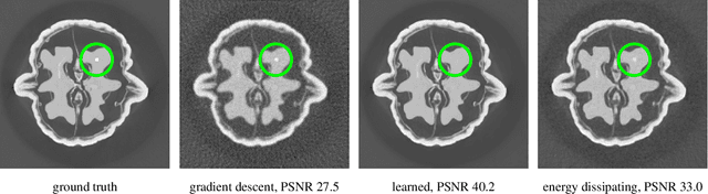 Figure 1 for Controlling Neural Networks via Energy Dissipation