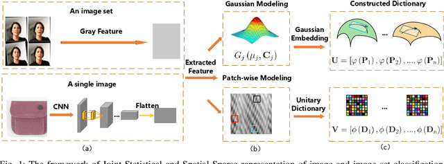 Figure 1 for Reconciliation of Statistical and Spatial Sparsity For Robust Image and Image-Set Classification