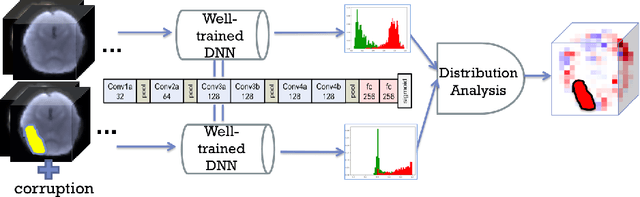 Figure 1 for Brain Biomarker Interpretation in ASD Using Deep Learning and fMRI