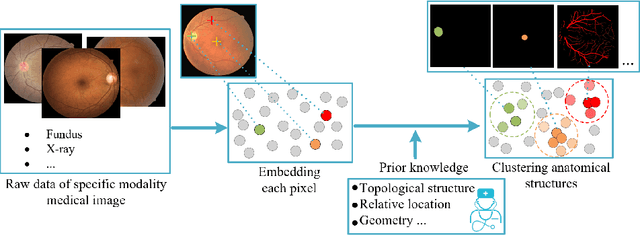 Figure 1 for Unsupervised Learning of Local Discriminative Representation for Medical Images