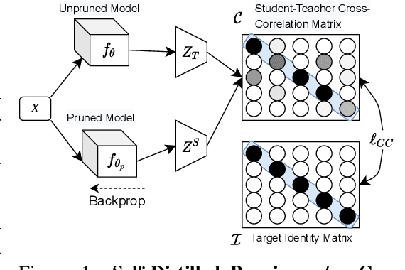 Figure 1 for Deep Neural Compression Via Concurrent Pruning and Self-Distillation