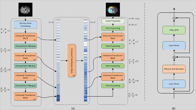 Figure 1 for MISSFormer: An Effective Medical Image Segmentation Transformer