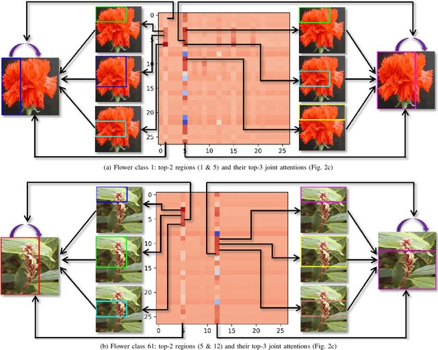 Figure 3 for SR-GNN: Spatial Relation-aware Graph Neural Network for Fine-Grained Image Categorization