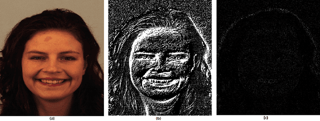 Figure 2 for Improving Facial Emotion Recognition Systems Using Gradient and Laplacian Images