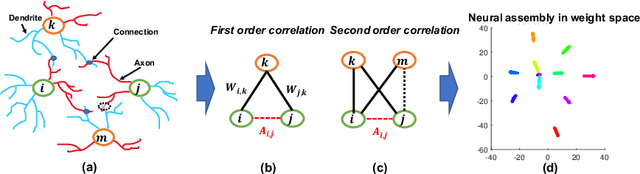 Figure 1 for BEAN: Interpretable Representation Learning with Biologically-Enhanced Artificial Neuronal Assembly Regularization