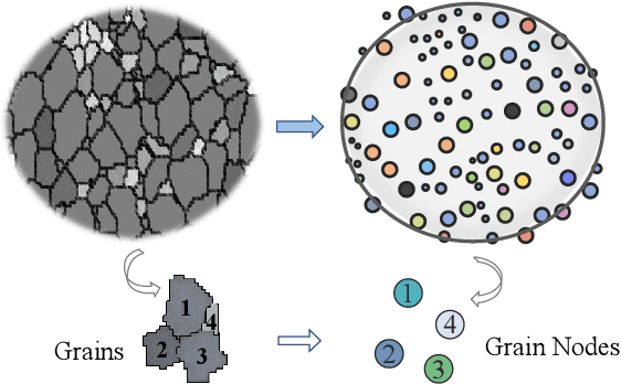 Figure 3 for EBSD Grain Knowledge Graph Representation Learning for Material Structure-Property Prediction
