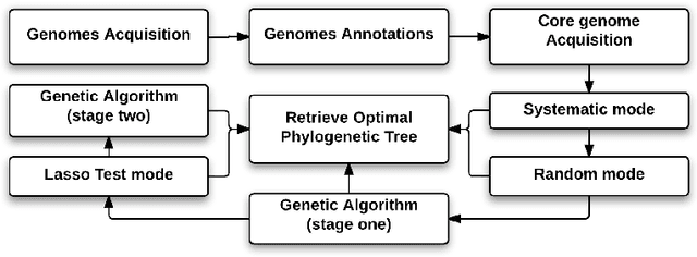 Figure 1 for Hybrid Genetic Algorithm and Lasso Test Approach for Inferring Well Supported Phylogenetic Trees based on Subsets of Chloroplastic Core Genes