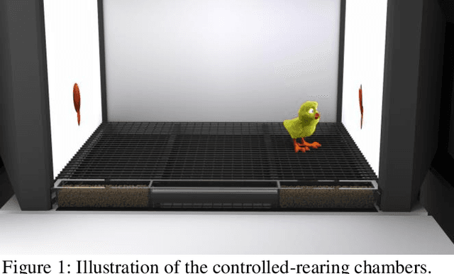Figure 1 for Modeling Object Recognition in Newborn Chicks using Deep Neural Networks