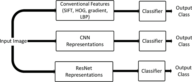 Figure 1 for Hierarchical Classification of Kelps utilizing Deep Residual Features