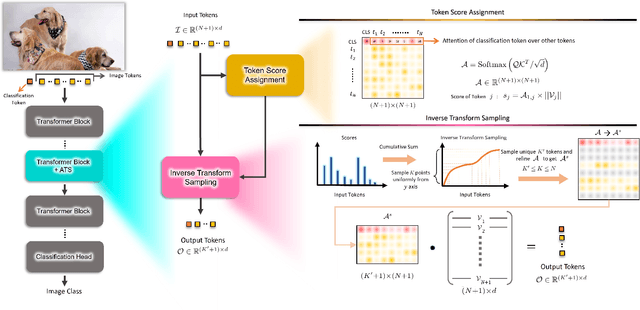 Figure 3 for ATS: Adaptive Token Sampling For Efficient Vision Transformers