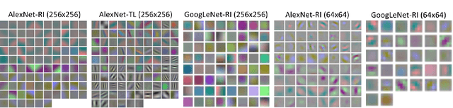 Figure 4 for Deep Convolutional Neural Networks for Computer-Aided Detection: CNN Architectures, Dataset Characteristics and Transfer Learning