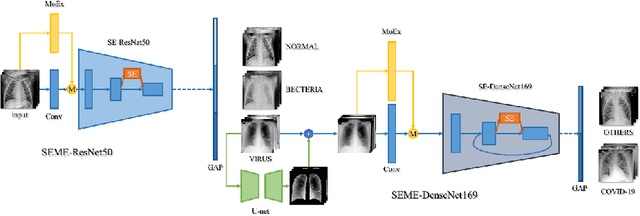 Figure 1 for A cascade network for Detecting COVID-19 using chest x-rays