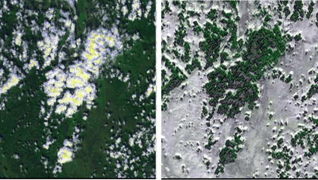 Figure 3 for Cross-Sensor Adversarial Domain Adaptation of Landsat-8 and Proba-V images for Cloud Detection