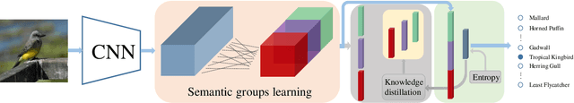 Figure 1 for Learning Semantically Enhanced Feature for Fine-Grained Image Classification