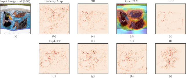 Figure 1 for Interpreting Interpretations: Organizing Attribution Methods by Criteria