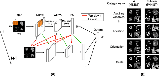 Figure 2 for Category-orthogonal object features guide information processing in recurrent neural networks trained for object categorization